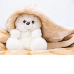 Blanket Bros