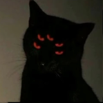 CatPlayz Fan Group