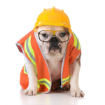 The Cool Dog Devs