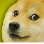 doges world