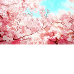 Sakura Red Academy