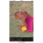 Slayercapybara