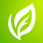 Everleaf Games