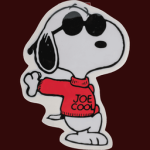Sunglass aesthetic