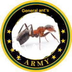 General ant's army