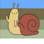 Sick slugs