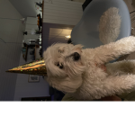 MilleMarie_1