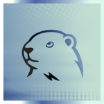 Groundhog Anti UGC Store
