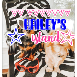 Hailey's Paradise!