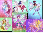 Magic Winx fans