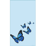 · beautiful butterflys ·