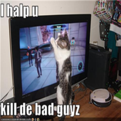 Funny pics from icanhascheezburger.com Roblox decal