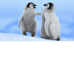 Super Penguin Squad