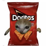 Dorito Cats ###