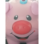 The Pig Group OINK