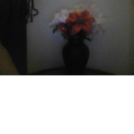 #### FLOWER SQUAD