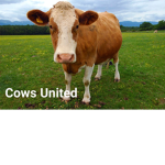 Cows United.!