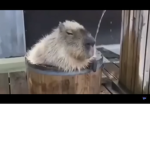 Russian attack