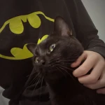lixlost Group Thumbnail
