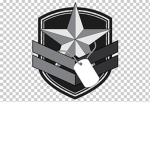 Task Force Wraith