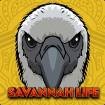 Game Thumbnail