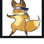 Ninja foxz