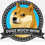DOG ONLY!!!!!!