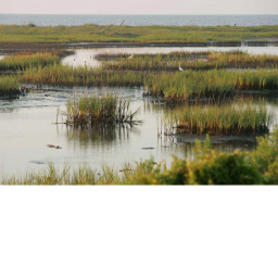Marshlands Facility