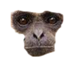 monke land