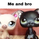 Kitty group plays