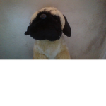 PugLifeStudios