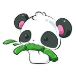 ~PanPan Followers~