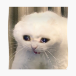 sad cat clothing