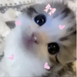 lwychie