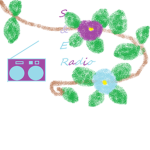# and # Radio