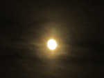 |~ Midnight Moon Stables ~|
