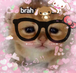 k!ttym3owm3ow
