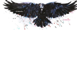 Raven Claws Fly