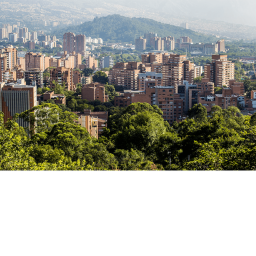 the city