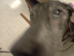 Cᴏᴍғʏ ᴄʟᴏᴛʜɪɴɢ