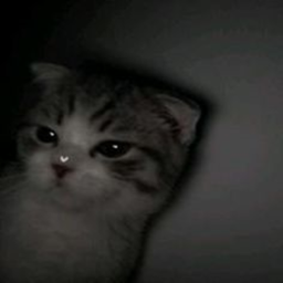 ☆