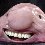 Blobfish Squad