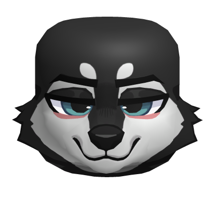 Black And White Husky Wolf