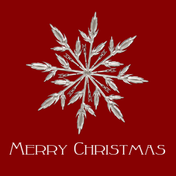 Welcome Christmas! ✨🥀