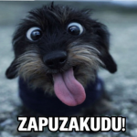 Zapuzakudu Club