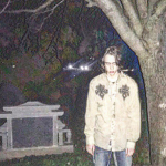 LeavesGrowOnTrees
