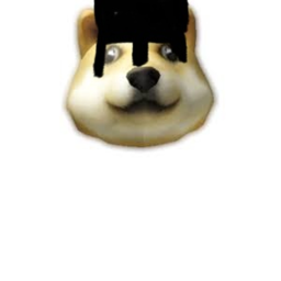Doges VS Dogs