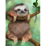 The sloths corner