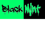 Black Mint Studios
