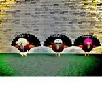 The Turkey Trio